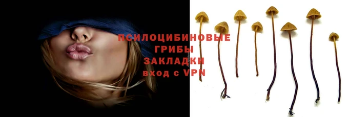 мескалин Аркадак