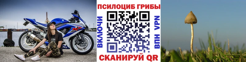 сколько стоит  Липки  Псилоцибиновые грибы Magic Shrooms 